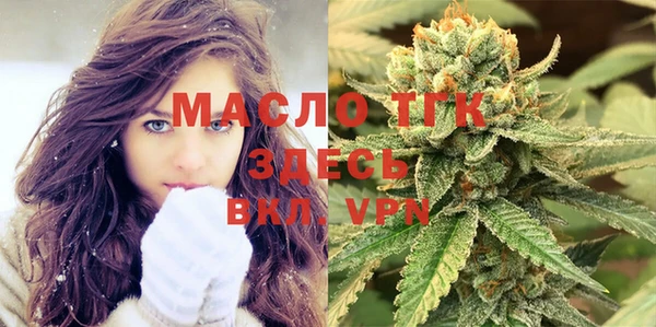 тгк Инта