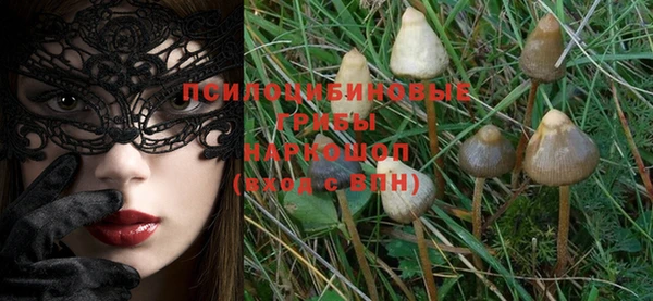 гашик Иннополис