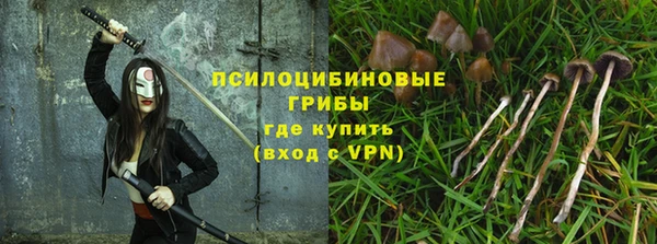 прущие крисы Инсар