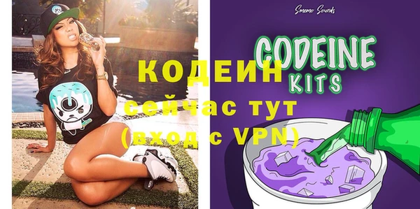 гашик Иннополис