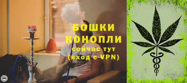 прущие крисы Инсар