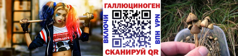 Псилоцибиновые грибы MAGIC MUSHROOMS  Купить где  Шумерля 